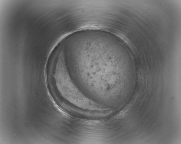 X0000073871030200608312047