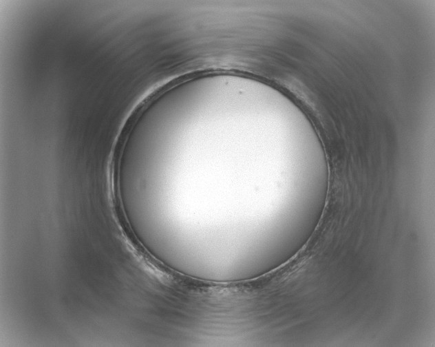 X0000073871032200608312047