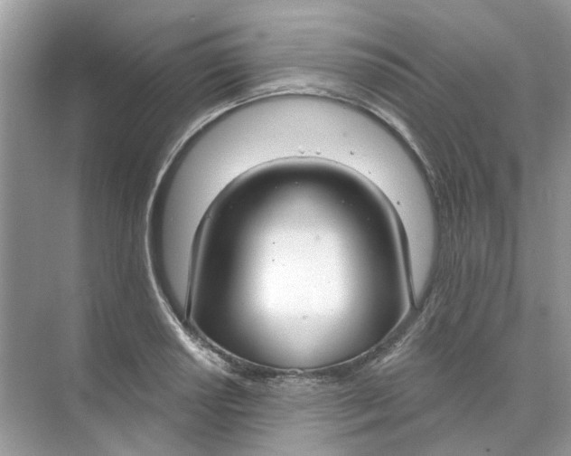 X0000073871034200608312047