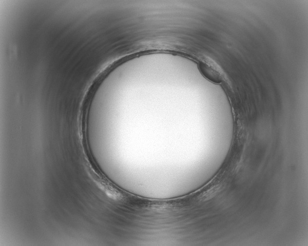 X0000073871035200608312047