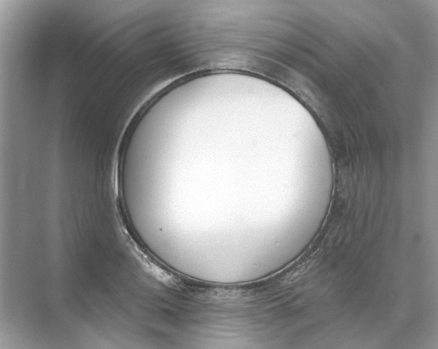 X0000073871036200608312047