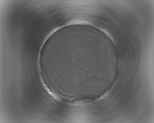 X0000073871038200608312047