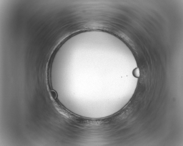 X0000073871039200608312047