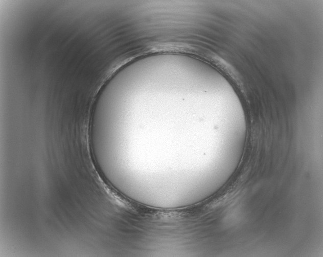 X0000073871041200608312047