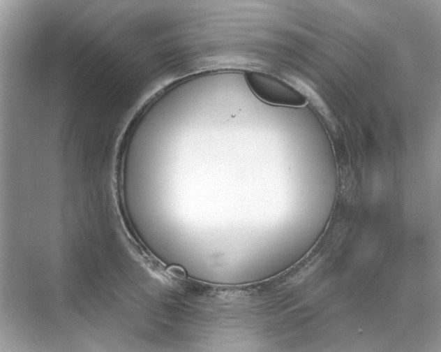 X0000073871043200608312047