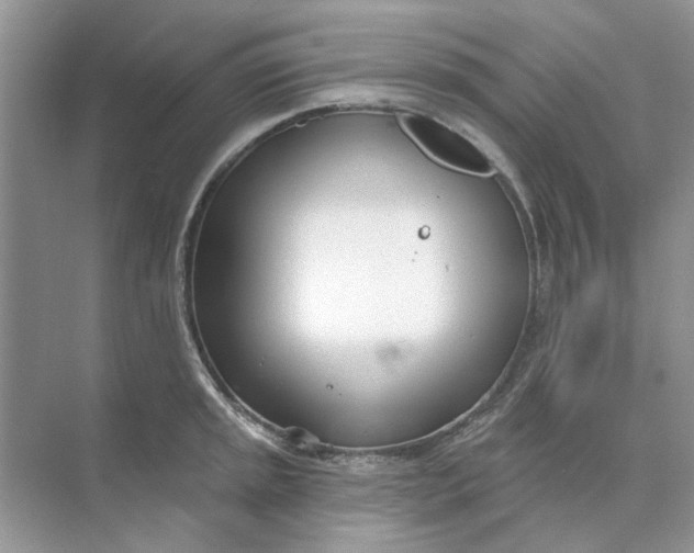 X0000073871045200608312047