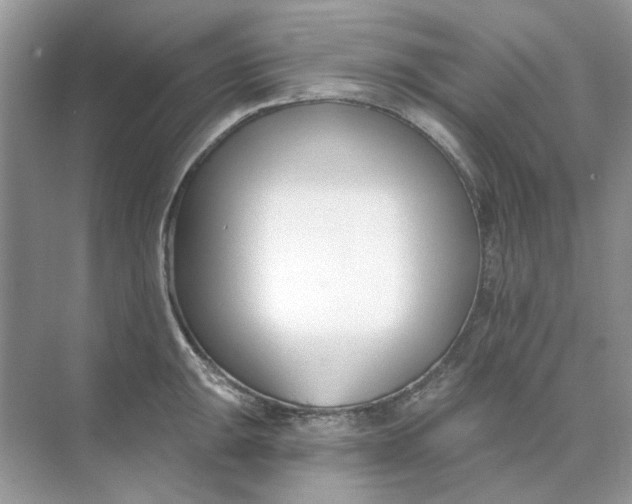 X0000073871047200608312047