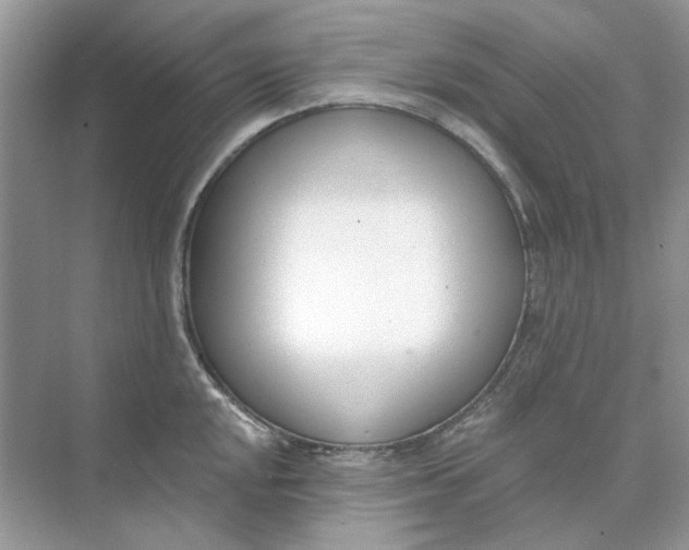 X0000073871048200608312047