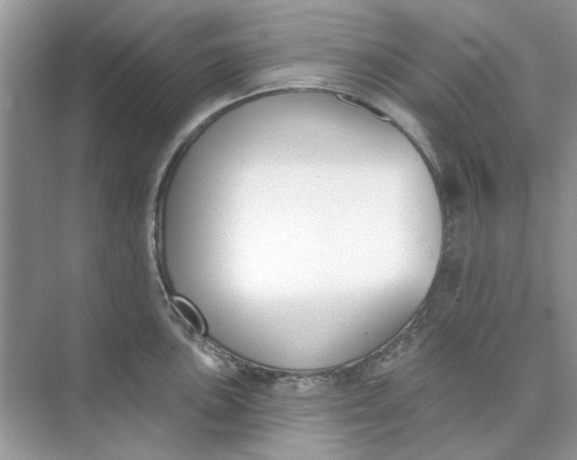 X0000073871051200608312047