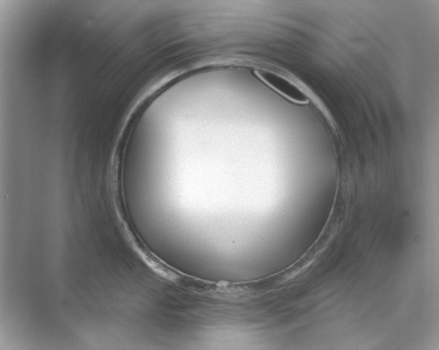 X0000073871053200608312047