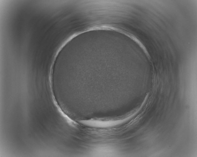 X0000073871054200608312047