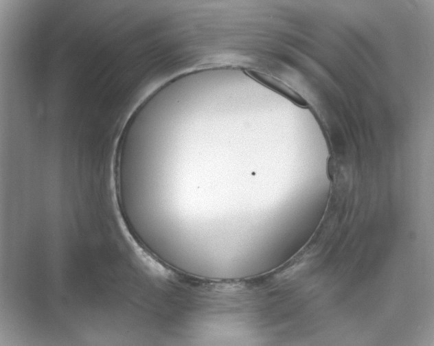 X0000073871055200608312047