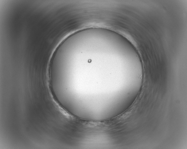 X0000073871056200608312047