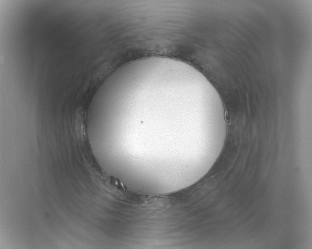 X0000073871058200608312047