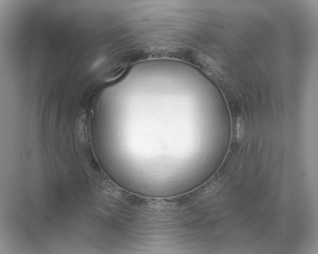 X0000073871059200608312047