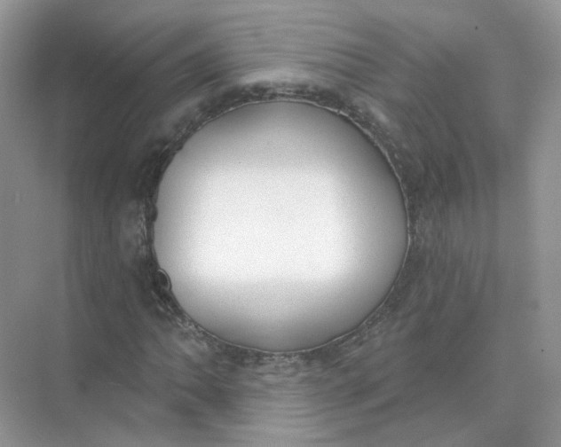 X0000073871062200608312047