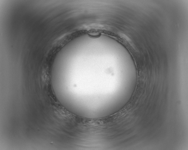 X0000073871063200608312047