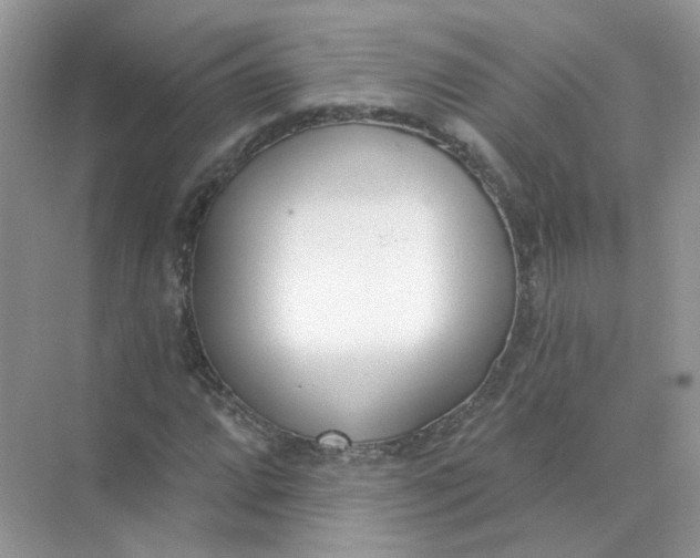 X0000073871064200608312047