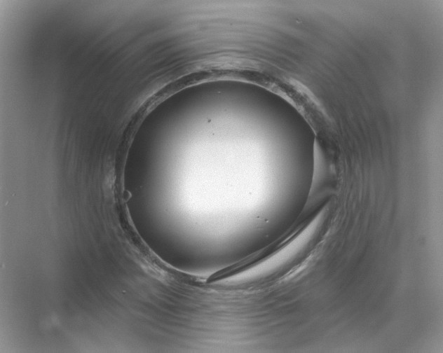 X0000073871065200608312047