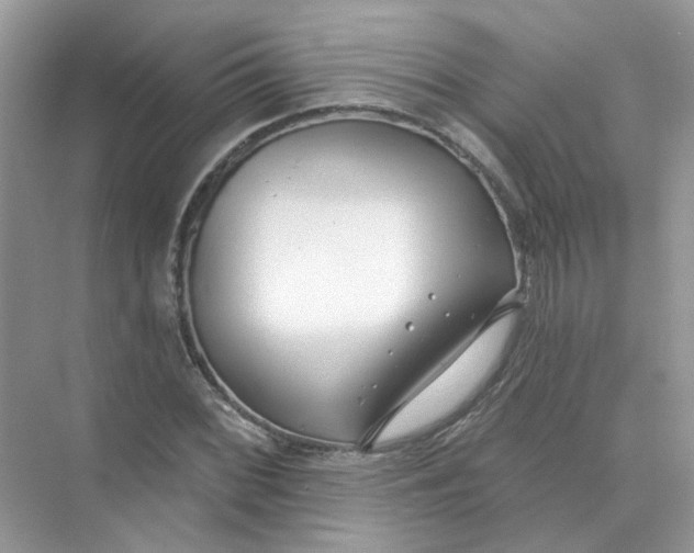 X0000073871068200608312046