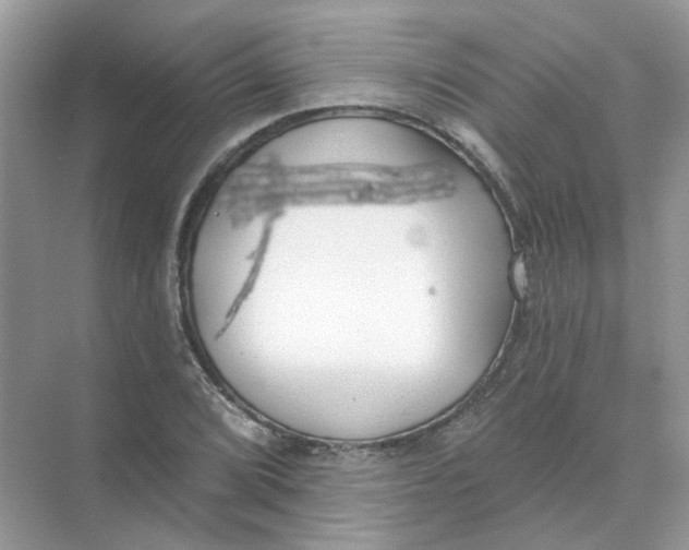 X0000073871072200608312046