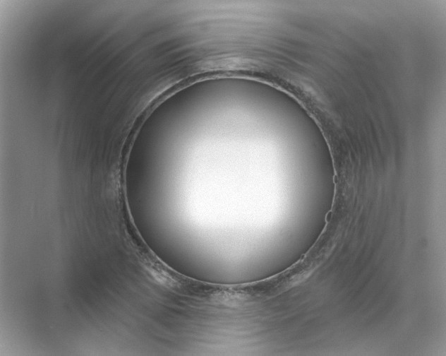 X0000073871073200608312046