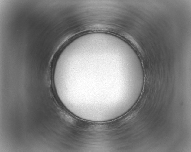 X0000073871075200608312046