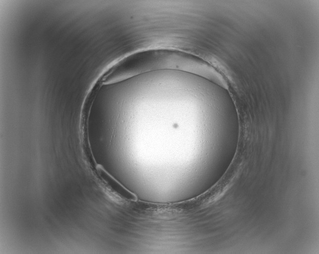 X0000073871077200608312046