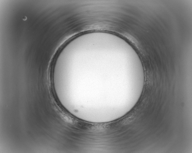 X0000073871078200608312046