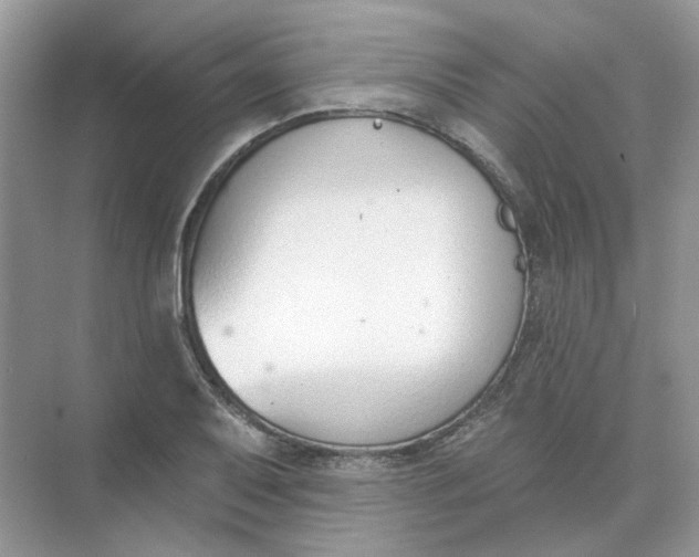 X0000073871079200608312046