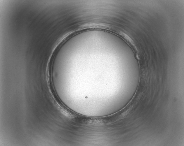 X0000073871082200608312046