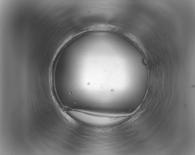 X0000073871083200608312046