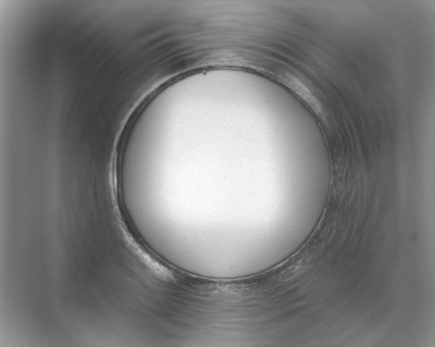 X0000073871084200608312046