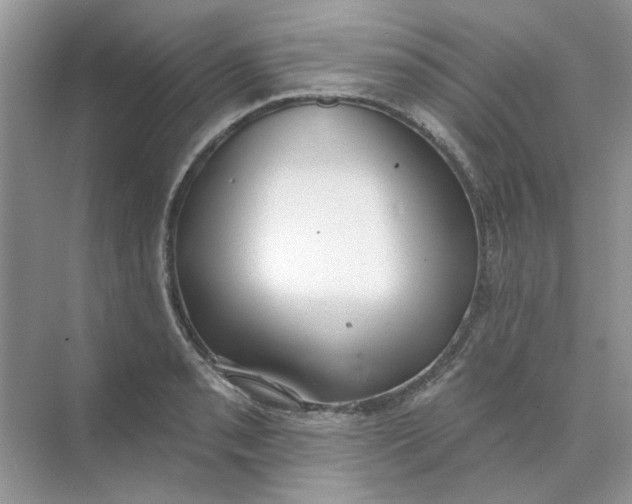 X0000073871085200608312046