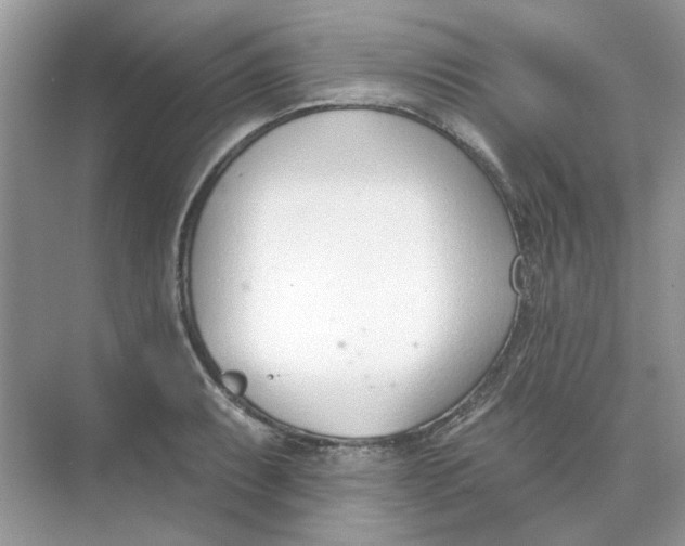 X0000073871087200608312046