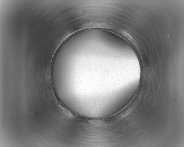 X0000073871089200608312046