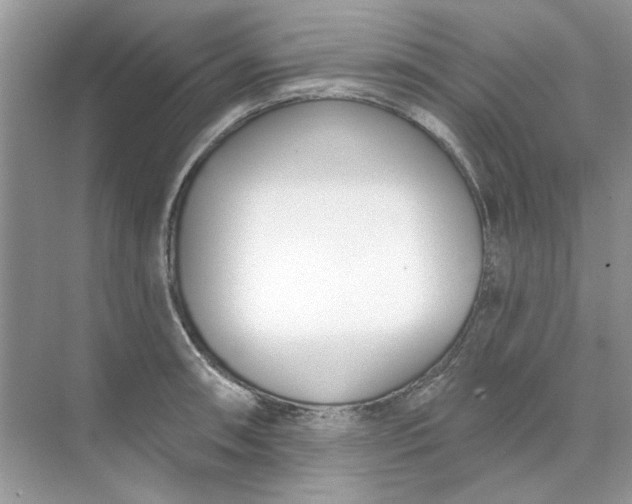 X0000073871090200608312046