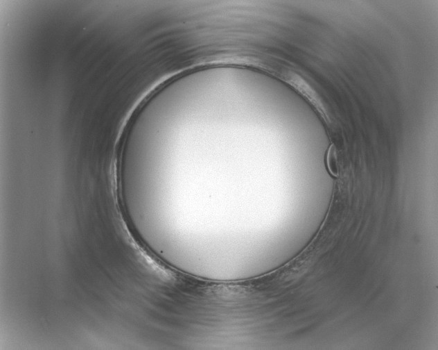 X0000073871092200608312046