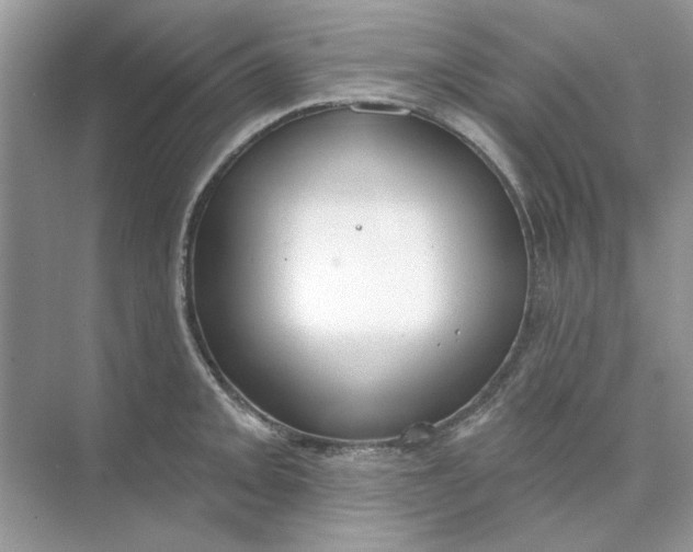 X0000073871093200608312046