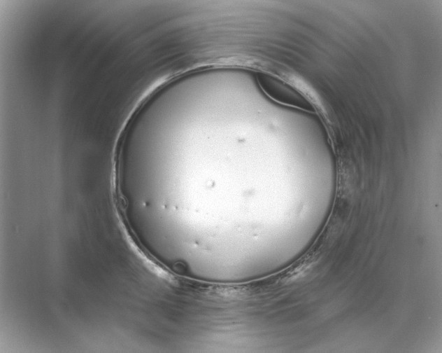 X0000073871095200608312046