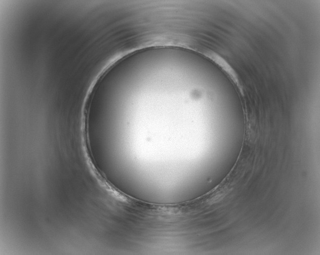 X0000073871096200608312046