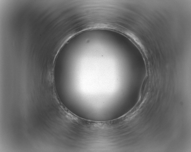 X0000073871097200608312046