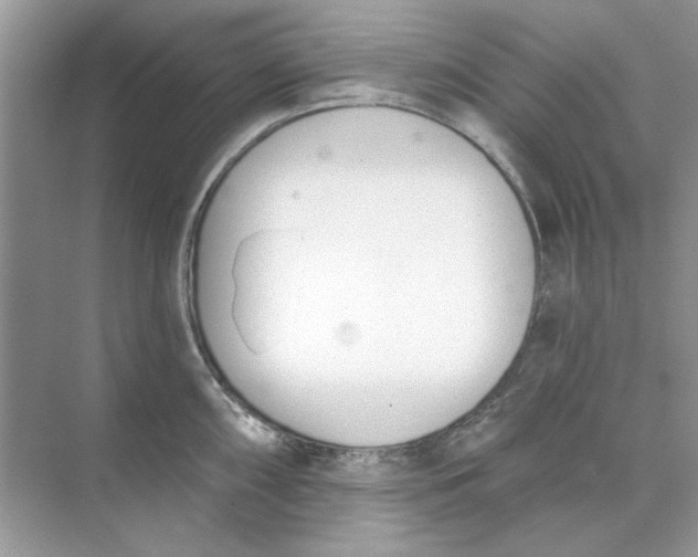 X0000073871098200608312046