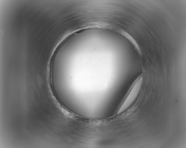 X0000073871099200608312046