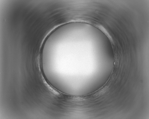 X0000073871100200608312046