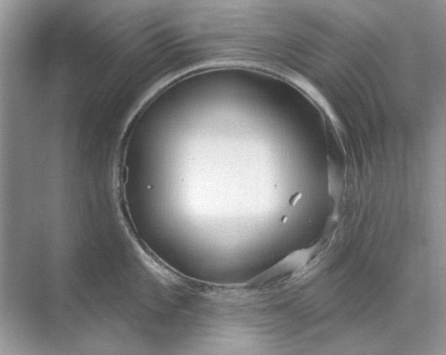 X0000073871101200608312046