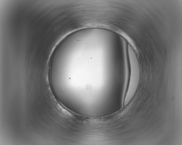 X0000073871102200608312046