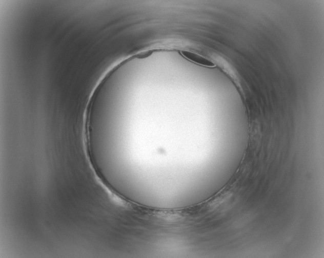 X0000073871103200608312046