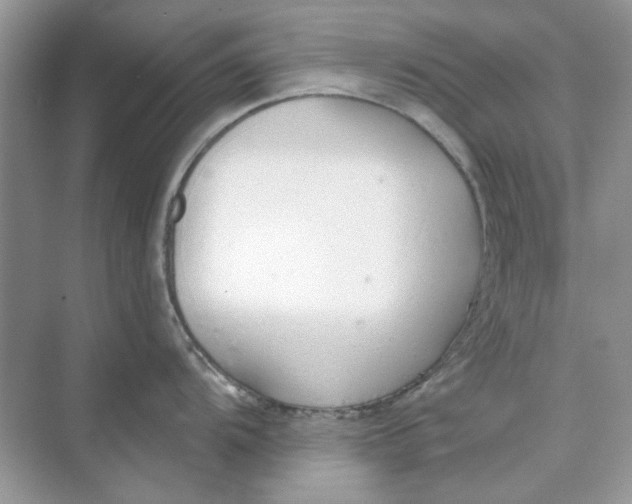 X0000073871104200608312046