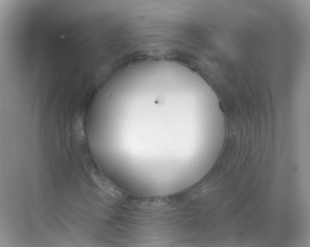 X0000073871106200608312045